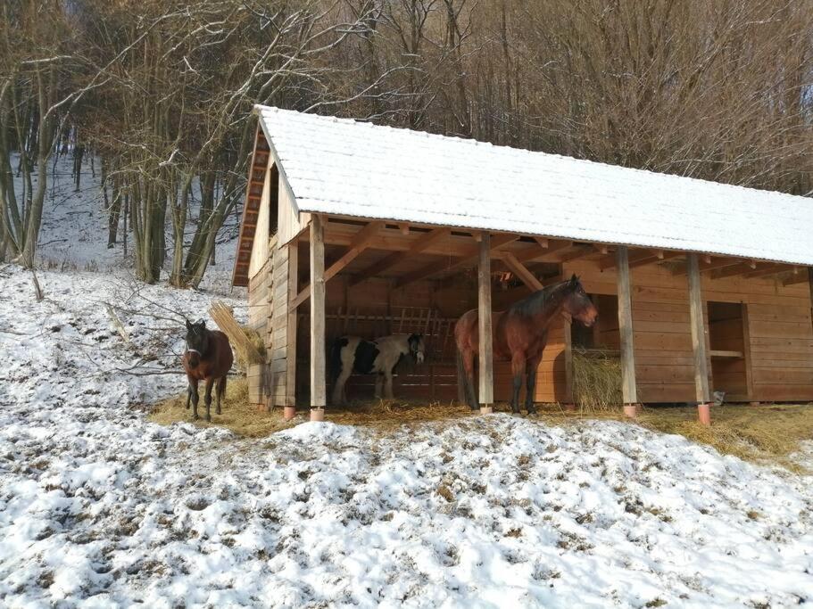 Oddychovy Pobyt Na Rodinnej Farme Matiaska Екстериор снимка