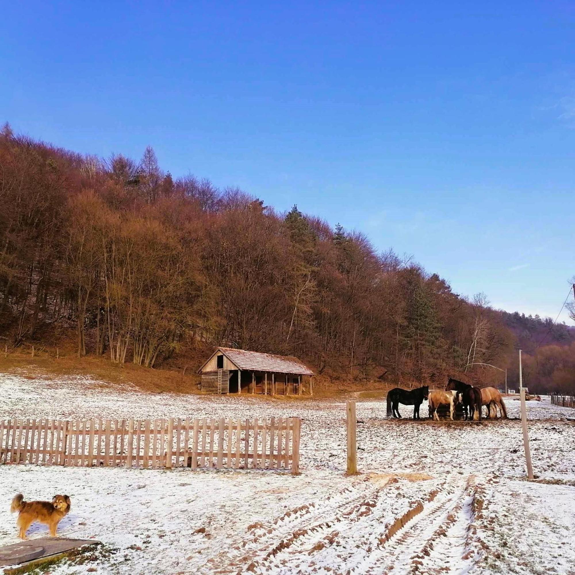 Oddychovy Pobyt Na Rodinnej Farme Matiaska Екстериор снимка